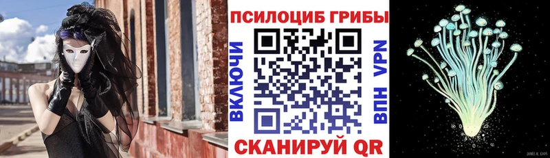 MEGA ссылка  Велиж  Псилоцибиновые грибы Psilocybe  наркота 