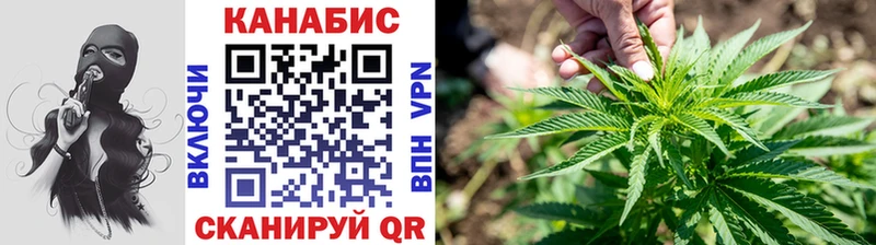 где продают   площадка состав  Канабис гибрид  Велиж 